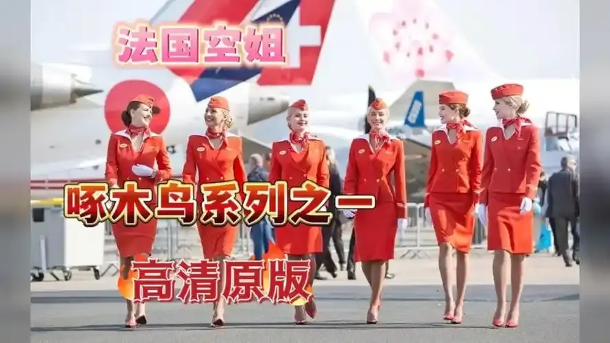 《法国空姐4》资源下载-高清完整版在线观看-法国空姐4全季无卡顿播放