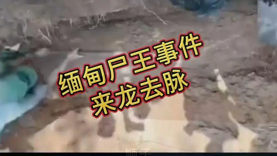 《缅甸僵尸出土事件视频》完整版资源下载 - 在线观看免费播放超清未删减全程录像 - 缅北僵尸出土事件始末原视频高清下载