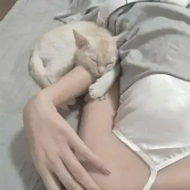 《森泽佳奈》高清全集未删减中文版免费在线观看-无广告播放网盘资源-1080P蓝光无水印画质-森泽佳奈年度现象级作品全集珍藏版